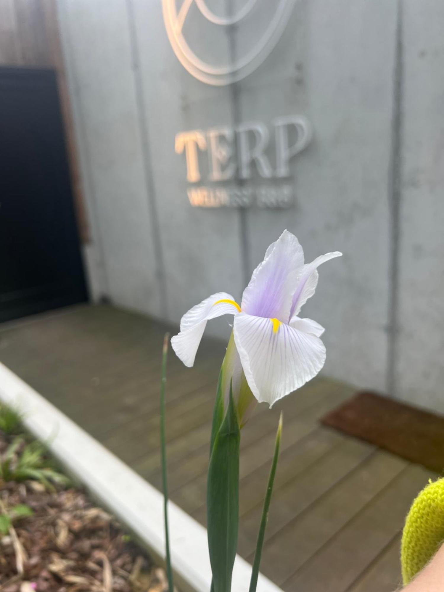 포페링에 Terp B&B 외부 사진